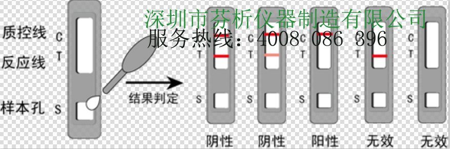 萊克多巴胺快速檢測(cè)卡